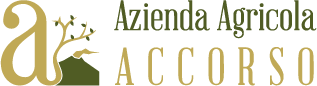 Azienda Agricola Accorso